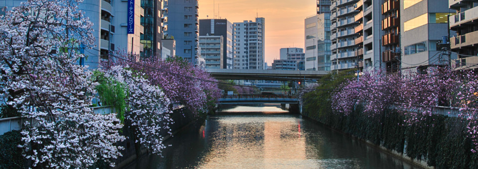 Tokyo