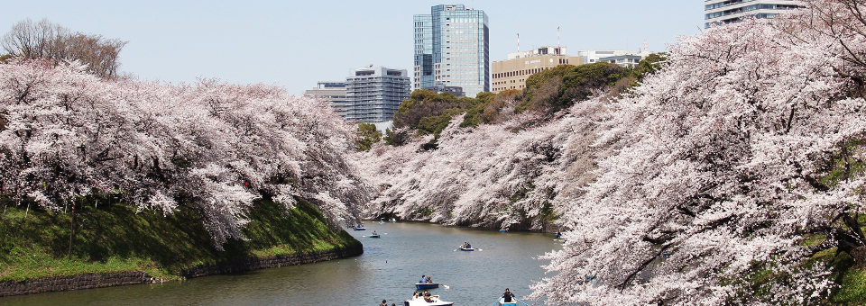 Tokyo